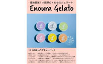 【定期便（2カ月ごと全3回）】小田原産江之浦ジェラート６種（みかん、湘南ゴールド、ブルーベリーミルク、いちごミルク、キウイヨーグルト、甘夏ヨーグルト）120mlカップ各２個合計１２個