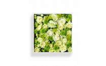 【お花の定期便】「季節毎」に届く、旬のアレンジメント Mサイズ（4回お届け）