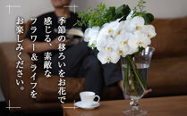 【「毎週」届く、旬の花束（52回／1年間）【「毎週」届く、旬の花束 52回 世界らん展 フラワードリームジャパンカップ 国内主要コンテスト受賞 贈り物 お花の定期便 １年間届く花束 フラワーライフ 神奈川県 小田原市 】