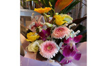 【定期便６ヵ月】季節の生花アレンジ　Sサイズ　６ヵ月連続でお届け&nbsp;【&nbsp;フラワー&nbsp;アレンジメント&nbsp;お花&nbsp;ギフト&nbsp;プレゼント&nbsp;贈り物&nbsp;誕生日&nbsp;お祝い&nbsp;神奈川県&nbsp;小田原市&nbsp;】