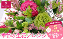 【定期便６ヵ月】季節の生花アレンジ　Sサイズ　６ヵ月連続でお届け&nbsp;【&nbsp;フラワー&nbsp;アレンジメント&nbsp;お花&nbsp;ギフト&nbsp;プレゼント&nbsp;贈り物&nbsp;誕生日&nbsp;お祝い&nbsp;神奈川県&nbsp;小田原市&nbsp;】