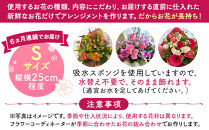 【定期便６ヵ月】季節の生花アレンジ　Sサイズ　６ヵ月連続でお届け&nbsp;【&nbsp;フラワー&nbsp;アレンジメント&nbsp;お花&nbsp;ギフト&nbsp;プレゼント&nbsp;贈り物&nbsp;誕生日&nbsp;お祝い&nbsp;神奈川県&nbsp;小田原市&nbsp;】