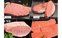 【牛肉 定期便 12回】 幻の相州黒毛和牛肩肉 800g×12回 計9.6kg【相州黒毛和牛 相州牛 幻の牛肉 極上の旨味と風味 キメ細かな上質の脂 様々な料理に ブランド牛 ブランド牛肉 神奈川特産品 神奈川県 小田原市 】