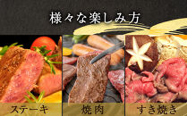 【牛肉 定期便 12回】 幻の相州黒毛和牛肩肉 1.2kg×12回 計14.4kg【相州黒毛和牛 相州牛 幻の牛肉 極上の旨味と風味 キメ細かな上質の脂 様々な料理に ブランド牛 ブランド牛肉 神奈川県 小田原市 】