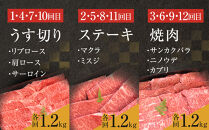 【牛肉&nbsp;定期便&nbsp;12回】&nbsp;幻の相州黒毛和牛肩肉&nbsp;1.2kg×12回&nbsp;計14.4kg【相州黒毛和牛&nbsp;相州牛&nbsp;幻の牛肉&nbsp;極上の旨味と風味&nbsp;キメ細かな上質の脂&nbsp;様々な料理に&nbsp;ブランド牛&nbsp;ブランド牛肉&nbsp;神奈川県&nbsp;小田原市&nbsp;】