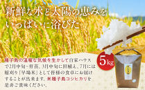 島のめぐみ げんき米 (早場米 コシヒカリ) 5kg | 令和7年産 米 お米 白米 精米 ライス 早場米 コシヒカリ 種子島 種子島産 鹿児島県（5kg袋）