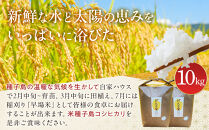 島のめぐみ げんき米 (早場米 コシヒカリ) 10kg (5kg×2袋) | 令和7年産 米 お米 白米 精米 ライス 早場米 コシヒカリ 種子島 種子島産 鹿児島県