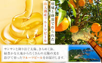 SunSunALE 飲み比べ 3本セットJAL ふるさと納税 コラボ | 限定 ビール クラフトビール 辺塚だいだい 大将季 たんかん 柑橘 蜂蜜 はちみつ 南大隅町 HONEY FOREST brewing