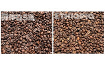 スペシャルティコーヒー&nbsp;飲み比べセット【豆】&nbsp;（１００g×６個）【&nbsp;コーヒー&nbsp;神奈川県&nbsp;小田原市&nbsp;】