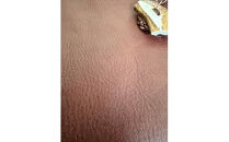 鹿の角ボタンのウォーカーズサコッシュ(ブラウン)【&nbsp;神奈川県&nbsp;小田原市&nbsp;】