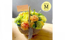 《母の日限定》カーネーションのバスケットアレンジメント(Mサイズ)イエロー系＜出荷時期：2026年5月6日～5月9日＞