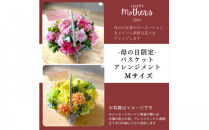 《母の日限定》カーネーションのバスケットアレンジメント(Mサイズ)イエロー系＜出荷時期：2026年5月6日～5月9日＞