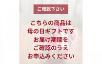 《母の日限定》カーネーションのバスケットアレンジメント(Mサイズ)イエロー系＜出荷時期：2026年5月6日～5月9日＞