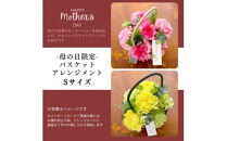 《母の日限定》カーネーションのバスケットアレンジメント(Sサイズ)イエロー系＜出荷時期：2026年5月6日～5月9日＞