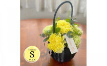 《母の日限定》カーネーションのバスケットアレンジメント(Sサイズ)イエロー系＜出荷時期：2026年5月6日～5月9日＞