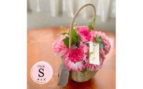 《母の日限定》カーネーションのバスケットアレンジメント(Sサイズ)ピンク系＜出荷時期：2026年5月6日～5月9日＞