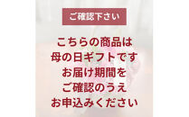 《母の日限定》カーネーションのバスケットアレンジメント(Sサイズ)ピンク系＜出荷時期：2026年5月6日～5月9日＞