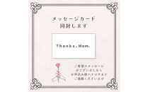 《母の日限定》カーネーションのバスケットアレンジメント(Sサイズ)ピンク系＜出荷時期：2026年5月6日～5月9日＞