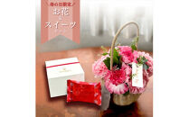 《母の日限定》ピンク系カーネーションのバスケットアレンジメントとストロベリーキャラメルサンドのセット＜出荷時期：2026年5月6日～5月9日＞