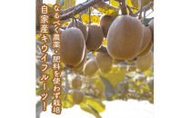 スイスで加工品を学んだ農家が手間暇かけた『手づくりジャムソース【キウイ】』16本セット【 家庭用 自宅用 贈答品 贈答用 ギフト お取り寄せ お中元 お歳暮 贈り物 お祝い 神奈川県 小田原市 】