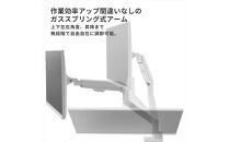 Pixio&nbsp;モニターアーム&nbsp;デュアル&nbsp;耐荷重9kg/1本&nbsp;ミントグリーン/緑&nbsp;PSW1DMT