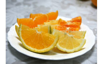 【先行予約】1月おすすめ柑橘詰め合わせ5kg箱＜出荷開始：2026年1月5日~1月25日＞【 フルーツ 神奈川県 小田原市 】