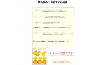 【先行予約】1月おすすめ柑橘詰め合わせ5kg箱＜出荷開始：2026年1月5日~1月25日＞【 フルーツ 神奈川県 小田原市 】