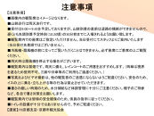 【祇園祭2025】前祭・JTB特別観覧席で山鉾巡行見学プラン《京王プレリアホテル 京都烏丸五条 2名様宿泊付き》［ 京都 祭 祇園祭 鉾 巡行 観覧 パノラマ 三条 河原町 超好立地 チケット 入場券 優待券 人気 おすすめ 限定 ギフト 宿泊 旅行 観光 ふるさと納税 ］