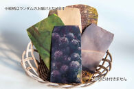 立野原 シャルドネ 2022 ワイナリー風景ポチ袋5枚セット付き