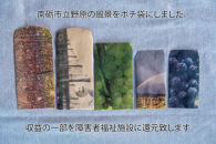 立野原 シャルドネ 2022 ワイナリー風景ポチ袋5枚セット付き