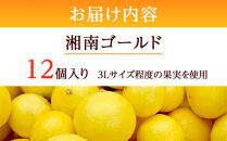 〈超希少商品〉神奈川生まれの柑橘&nbsp;ハウス栽培の湘南ゴールド＜出荷開始：２０２６年２月１５日出荷開始～２０２６年３月１０日出荷終了＞【フルーツ&nbsp;オレンジ&nbsp;果物&nbsp;柑橘&nbsp;贈答用&nbsp;家庭用&nbsp;自宅用&nbsp;&nbsp;神奈川県小田原市】