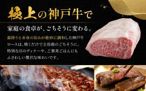 神戸牛&nbsp;ロースステーキ&nbsp;250g×2枚&nbsp;計&nbsp;500g&nbsp;KBST5