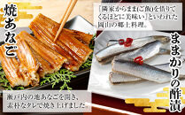 【瀬戸内海産】地物詰合せ（焼あなご・ままかりの酢漬・鰆の味噌漬・鰆の味噌煮）&nbsp;｜&nbsp;あなご&nbsp;瀬戸内&nbsp;鰆&nbsp;さわら&nbsp;味噌煮&nbsp;味噌漬&nbsp;酢漬&nbsp;詰め合わせ&nbsp;詰合せ&nbsp;岡山県産&nbsp;おすすめ&nbsp;人気&nbsp;おかず&nbsp;特産品