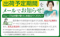 【26年発送先行予約】旭川発！北海道の赤肉メロン1玉（1玉標準&nbsp;1.3kg以上）2026年6月下旬から発送開始予定&nbsp;【&nbsp;果物&nbsp;くだもの&nbsp;フルーツ&nbsp;メロン&nbsp;赤肉&nbsp;赤肉メロン&nbsp;旬&nbsp;お取り寄せ&nbsp;甘い&nbsp;北海道産&nbsp;旭川市&nbsp;北海道&nbsp;】&nbsp;_05230