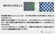 【世界初の全方位受光ソーラー】スフェラーペンギン＜クリア＞&nbsp;20個セット［&nbsp;京都&nbsp;世界初&nbsp;太陽電池&nbsp;スフェラ―パワー&nbsp;ペンギン&nbsp;ソーラー&nbsp;オブジェ&nbsp;かわいい&nbsp;不思議&nbsp;水槽用装飾品&nbsp;ふるさと&nbsp;おしゃれ&nbsp;かっこいい&nbsp;京都&nbsp;通販&nbsp;送料無料&nbsp;ふるさと納税&nbsp;］&nbsp;