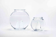 【世界初の全方位受光ソーラー】スフェラーペンギン＜クリア＞&nbsp;20個セット［&nbsp;京都&nbsp;世界初&nbsp;太陽電池&nbsp;スフェラ―パワー&nbsp;ペンギン&nbsp;ソーラー&nbsp;オブジェ&nbsp;かわいい&nbsp;不思議&nbsp;水槽用装飾品&nbsp;ふるさと&nbsp;おしゃれ&nbsp;かっこいい&nbsp;京都&nbsp;通販&nbsp;送料無料&nbsp;ふるさと納税&nbsp;］&nbsp;