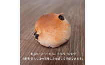 パン用の小麦全粒粉「ブラウワー和の全粒粉（香川県産小麦100％使用）」1kg×3袋【&nbsp;小麦&nbsp;小麦粉&nbsp;粉&nbsp;全粒粉&nbsp;&nbsp;パン用&nbsp;穀物&nbsp;こむぎ&nbsp;こむぎこ&nbsp;人気&nbsp;おすすめ&nbsp;香川県&nbsp;坂出市】