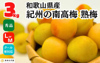 熟梅 南高梅 3kg 秀品 LまたはMサイズ 和歌山県産 A品 梅干し作り用 梅ジャム作り用