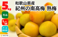 熟梅 南高梅 5kg 秀品  LまたはMサイズ 和歌山県産 A品 梅干し作り用 梅ジャム作り用