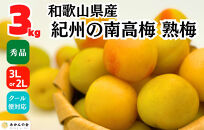熟梅 南高梅 3kg 秀品 3Lまたは2Lサイズ 和歌山県産 A品 梅干し作り用 梅ジャム作り用