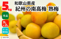 熟梅 南高梅 5kg 秀品 3Lまたは2Lサイズ 和歌山県産 A品 梅干し作り用 梅ジャム作り用