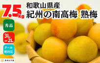 熟梅 南高梅 7.5kg 秀品 3Lまたは2Lサイズ 和歌山県産 A品 梅干し作り用 梅ジャム作り用