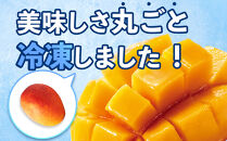 結いの町　完熟丸ごと冷凍マンゴー（700ｇ）