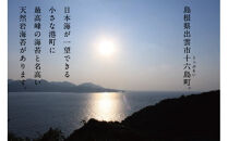 【ギフト】【希少】天然岩のり　十六島海苔（うっぷるいのり）