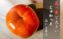 【先行予約】&nbsp;真っ赤で大きくて甘い！&nbsp;Farm&nbsp;m&aの早秋柿&nbsp;4L×5個&nbsp;秀品&nbsp;岐阜県&nbsp;大野町（2025年10月中旬～発送）農家直送&nbsp;果物&nbsp;フルーツ&nbsp;秋の味覚&nbsp;柿&nbsp;かき&nbsp;早秋&nbsp;そうしゅう