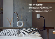 ベッドルームプロジェクターNX1　シルバー ワイヤレスアダプター（HDMI）セット