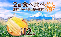 とうもろこし イエロー ＆ ホワイト 2種 食べ比べ 恵味ゴールド 白い恵味 400g以上 各6本 計12本 野菜 おやつ 旬 産地直送 送料無料 湖南野菜出荷組合 山梨県 富士河口湖町