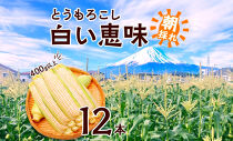 とうもろこし 白い恵味 ホワイト 400g以上×12本 計4.8kg以上 高糖度 トウモロコシ スイートコーン 玉蜀黍 白 夏野菜 ジューシー 野菜 おやつ 甘い 旬 産地直送 送料無料 湖南野菜出荷組合 山梨県 富士河口湖町