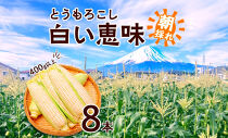 とうもろこし 白い恵味 ホワイト 400g以上×8本 計3.2kg以上 高糖度 トウモロコシ スイートコーン 玉蜀黍 白 コーン 夏野菜 ジューシー 野菜 おやつ 甘い 旬 産地直送 送料無料 湖南野菜出荷組合 山梨県 富士河口湖町
