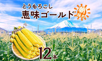 とうもろこし 恵味 ゴールド 400g以上×12本 計4.8kg以上 高糖度 トウモロコシ スイートコーン 玉蜀黍 イエローコーン 黄 夏野菜 甘い ジューシー 野菜 おやつ 旬 産地直送 送料無料 湖南野菜出荷組合 山梨県 富士河口湖町